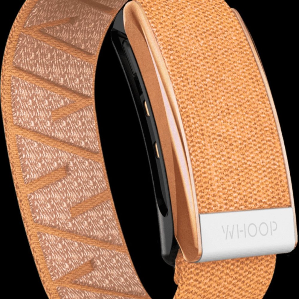 NWT - Whoop Band
